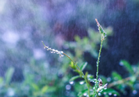 法甲媒体透露：马赛队主教练德泽尔比联系过拉比奥，表示和解的大门永远敞开