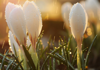 皇马冲14冠！姆巴佩飞行4500公里空降决赛：9战巴萨12球