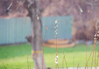 意甲媒体透露：米兰在2024年因价格太高而没能签下菲尔克鲁格，最终选择了莫拉塔