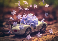 拉菲尼亚拒绝领奖，金球奖信任崩塌，贝林厄姆空降引巴西球员发声